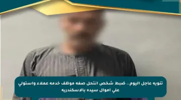 تنويه عاجل اليوم.. ضبط شخص انتحل صفة موظف خدمة عملاء واستولى على أموال سيدة بالإسكندرية